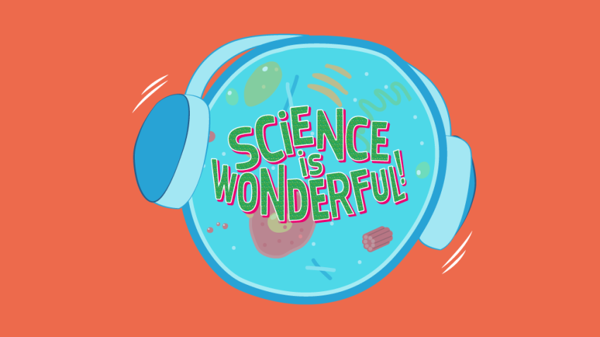 XL ON AIR: le podcast qui te donne la parole à Ixelles!, Science is wonderful! Le salon qui te fait découvrir les sciences!