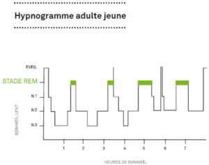 à quoi sert le sommeil, Le sommeil : À quoi ça sert de dormir?